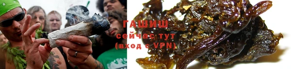 сатива Белокуриха