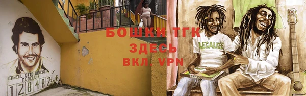 сатива Белокуриха