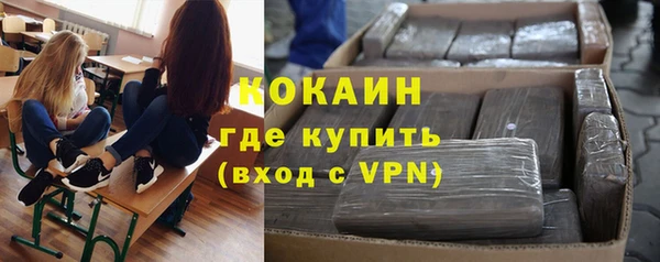 сатива Белокуриха